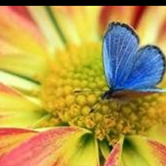 Meet your Posher, Tina