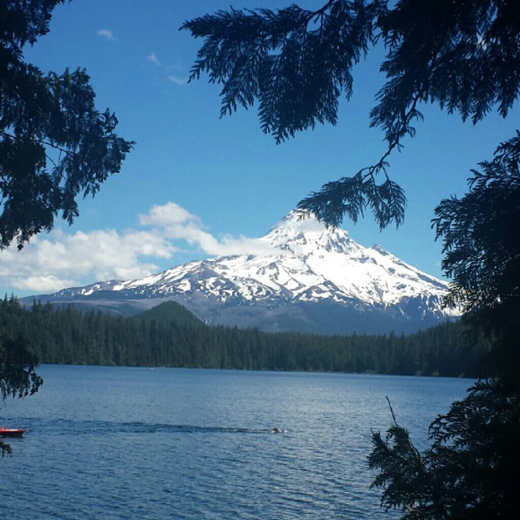 Meet your Posher, Nicola - Picture 2 of 4