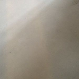 Meet your Posher, Frankie