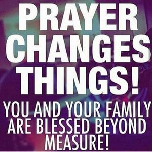 Meet your Posher, Vicky