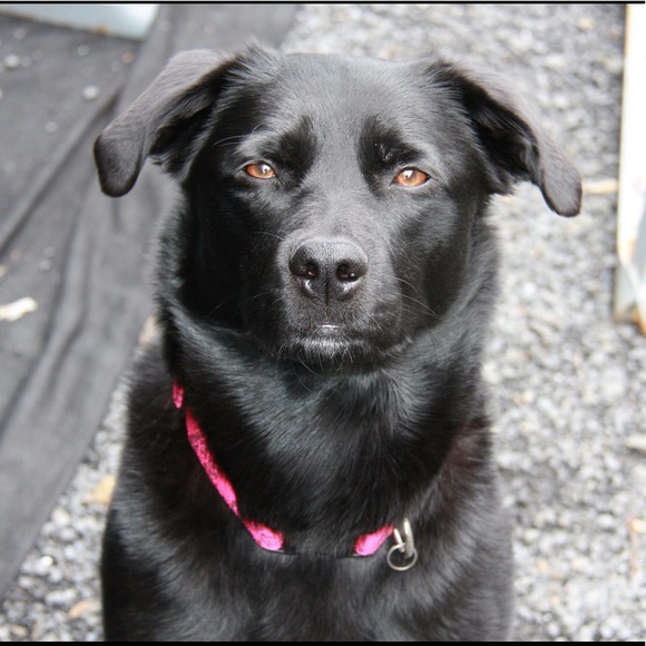 Meet your Posher, Kelly - Picture 5 of 5