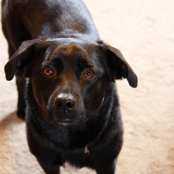 Meet your Posher, Kelly - Picture 2 of 5