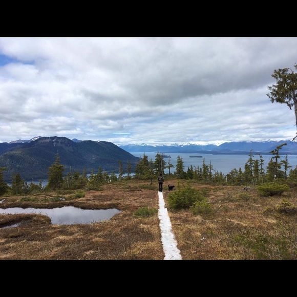 Meet your Posher, Kelly - Picture 3 of 5