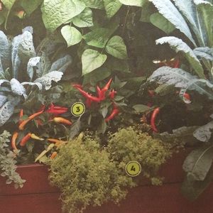 Meet your Posher, Sim