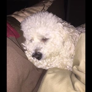 Meet your Posher, Deborah