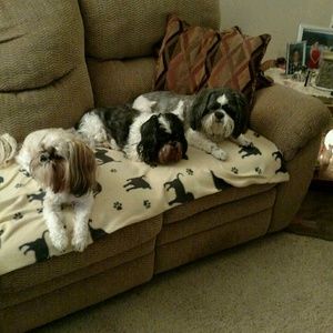 Meet your Posher, Julie