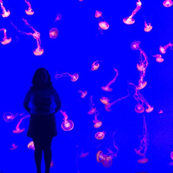 Meet your Posher, Kiana - Picture 1 of 1