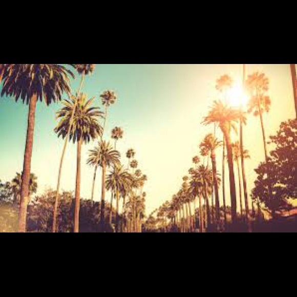 Meet your Posher, Sydney - Picture 1 of 1