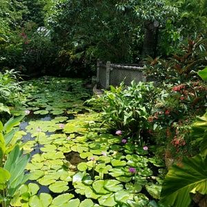 Meet your Posher, Tamara