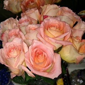 Meet your Posher, Helen