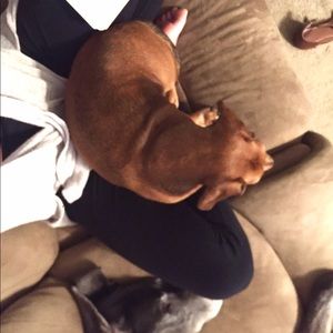 Meet your Posher, Devani