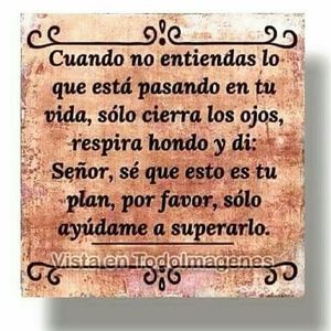 Meet your Posher, Sonia