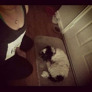 Meet your Posher, Taylor