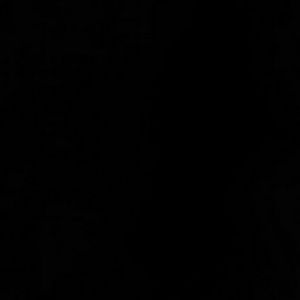 Meet your Posher, Dionne