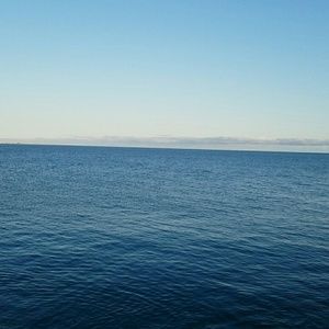 Meet your Posher, May