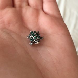 Turtle charm
