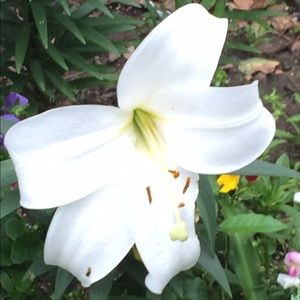 Meet your Posher, Eli