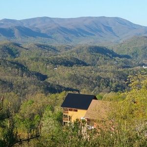 Meet your Posher, Tanya