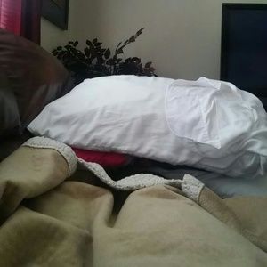 Meet your Posher, Ali