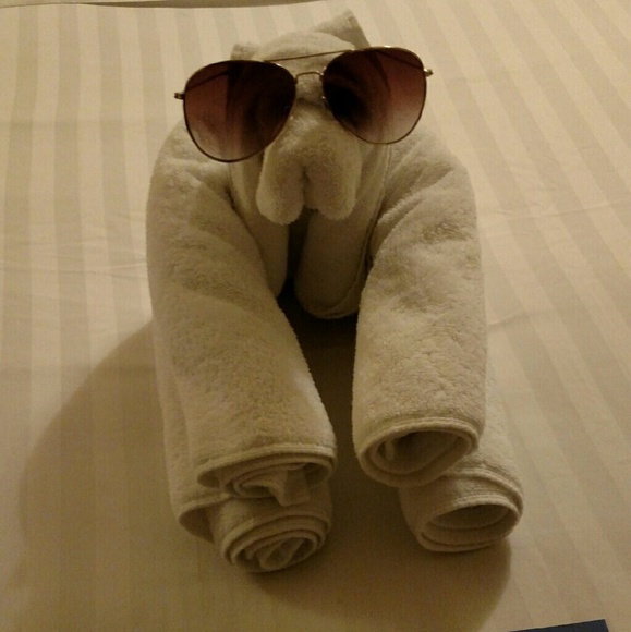 Meet your Posher, Sadie - Picture 1 of 1