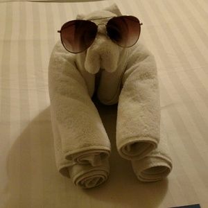 Meet your Posher, Sadie