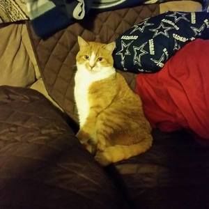 Meet your Posher, Marg