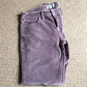 Free people pants