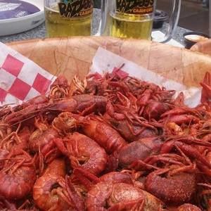 Meet your Posher, Donna