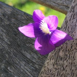 Meet your Posher, Helen