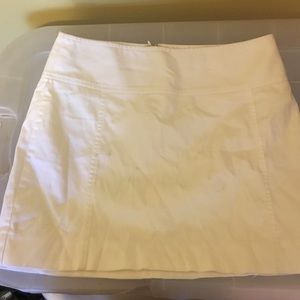 Express Skirt
