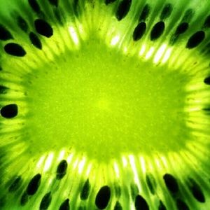 Meet your Posher, Keona