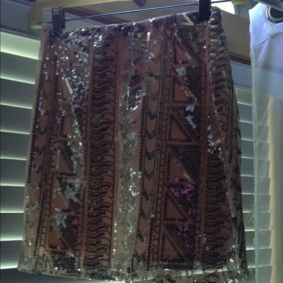 Charolette Russe Skirt