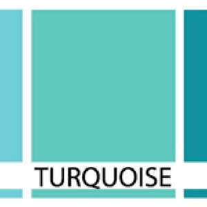 Meet your Posher, Edith