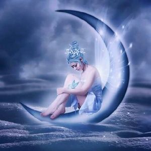 Meet your Posher, Marjorie