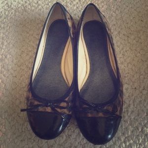 Arturo Chiang Leopard Ballet Flats