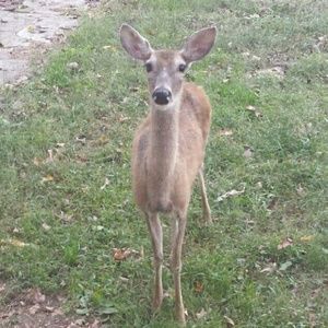 Meet your Posher, Candace