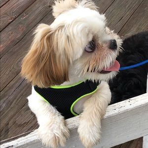 Meet your Posher, Felicita