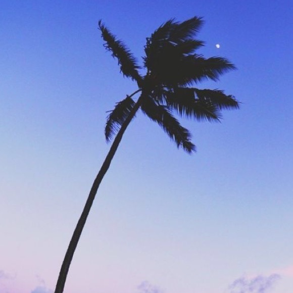 Meet your Posher, Maddie - Picture 1 of 1