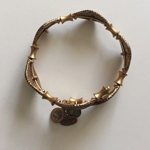 ALEX AND ANI gold wrap