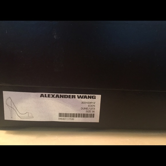 Alexander Wang Eden Mesh Pumps (Almost new) - Picture 4 of 6