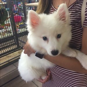 Meet your Posher, Jenny