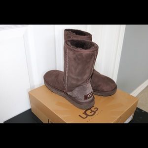 Classic short dark brown UGGS AUTHENTIC