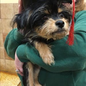 Meet your Posher, Shelley