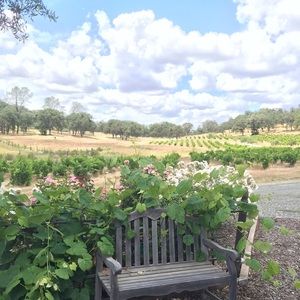 Meet your Posher, Althea