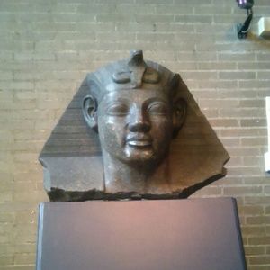 Meet your Posher, Sandy