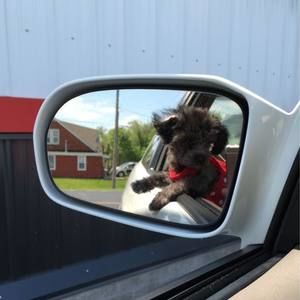 Meet your Posher, Avery