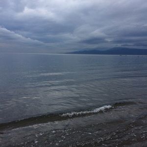 Meet your Posher, Joanna