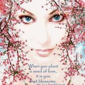 Meet your Posher, Colleen