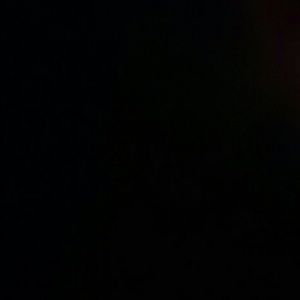 Meet your Posher, Lizzy