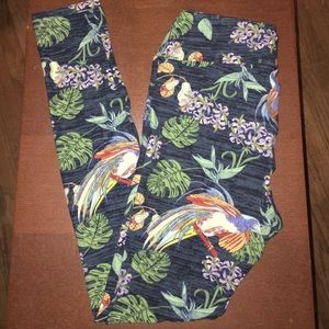 LuLaRoe leggings. Tropical parrot print.